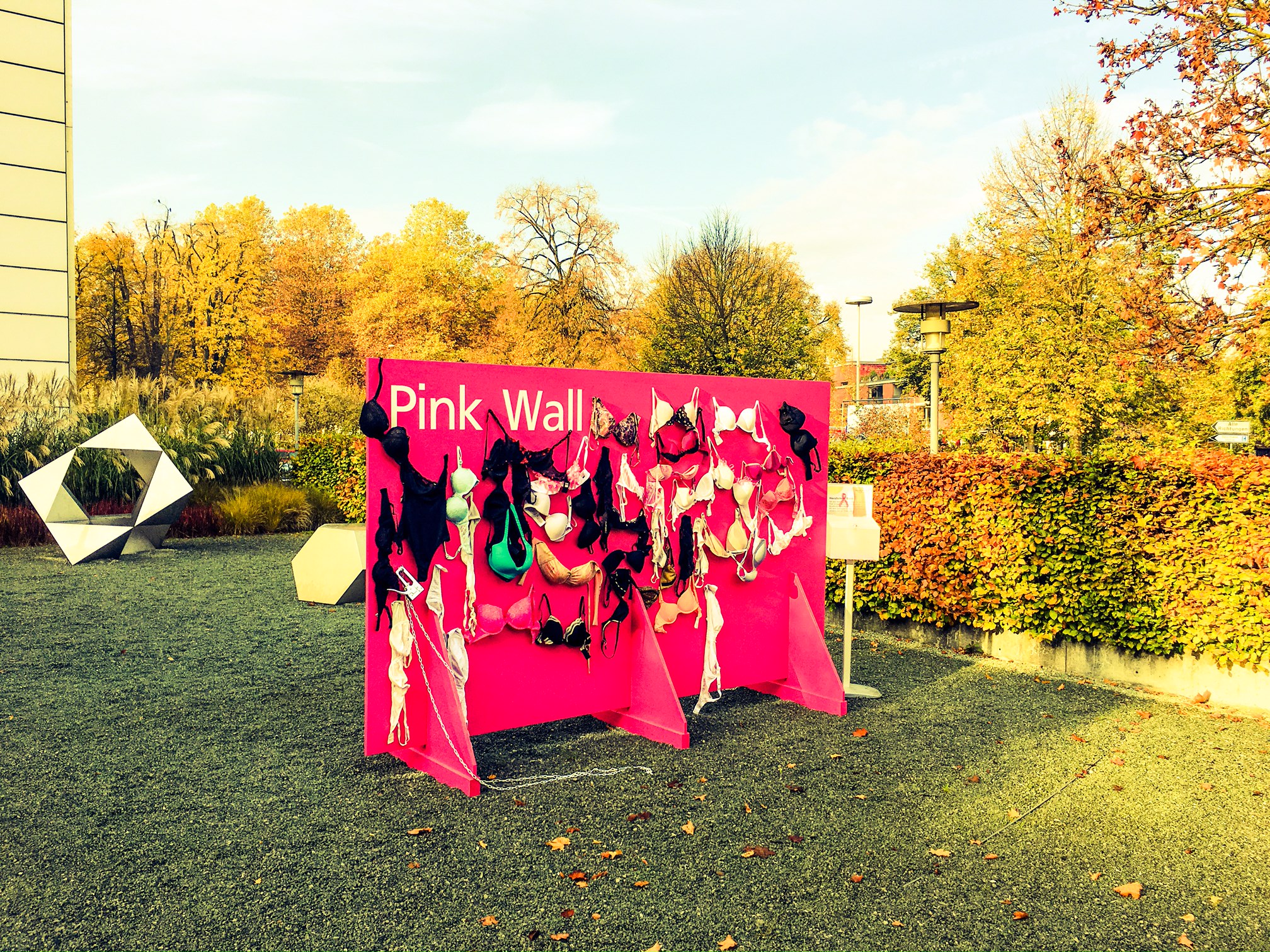 Pink Light-Marsch gegen Brustkrebs