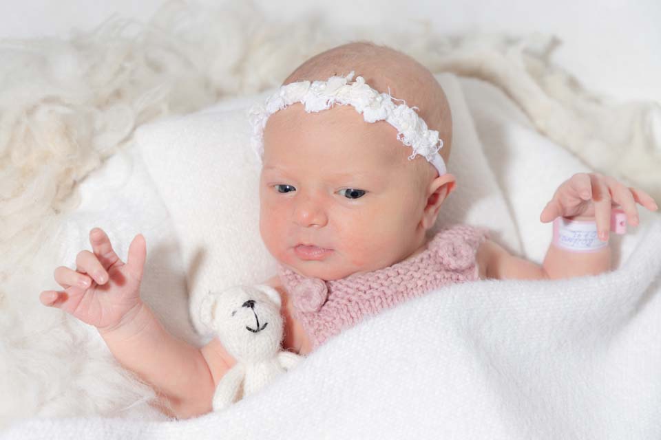 1767768120000-teodora