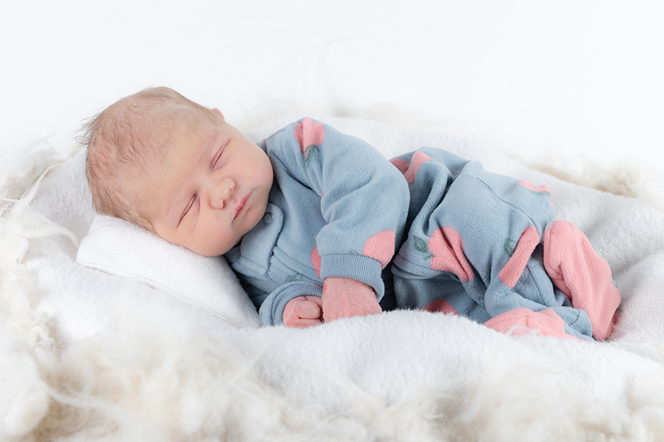 1770548220000-giorgia