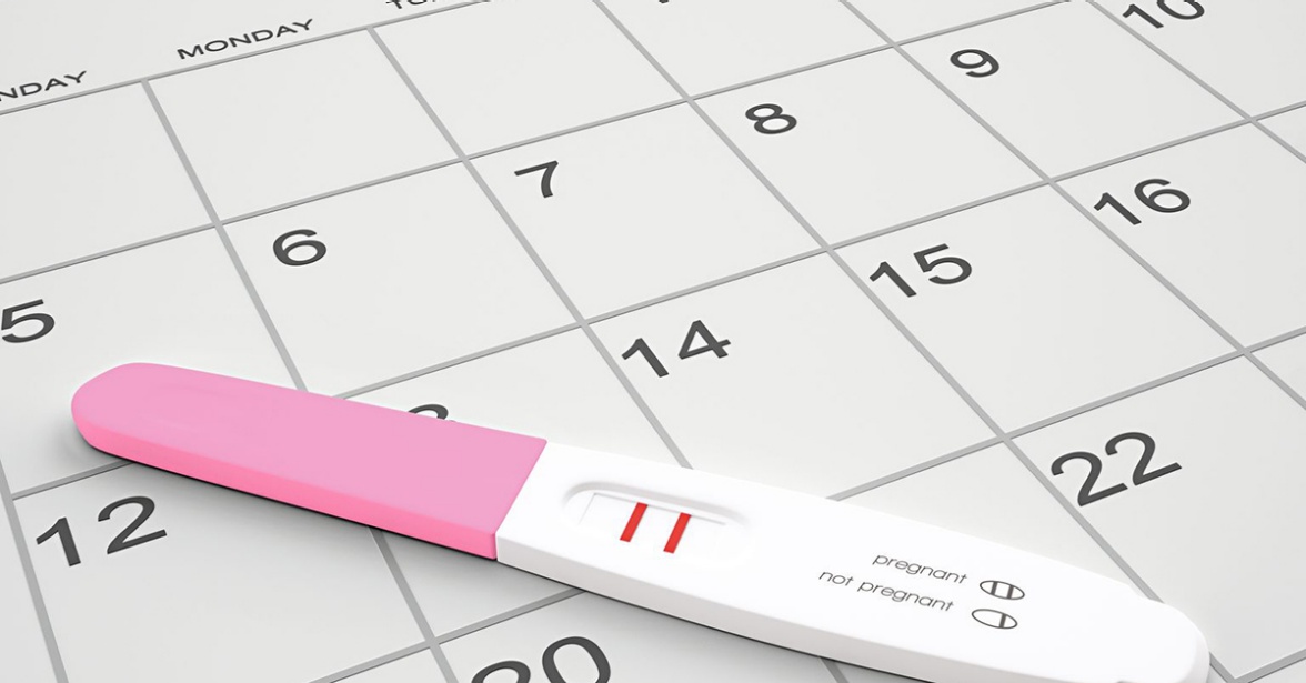 Schwangerschaftsrechner Geburtsterminrechner Hirslanden Baby