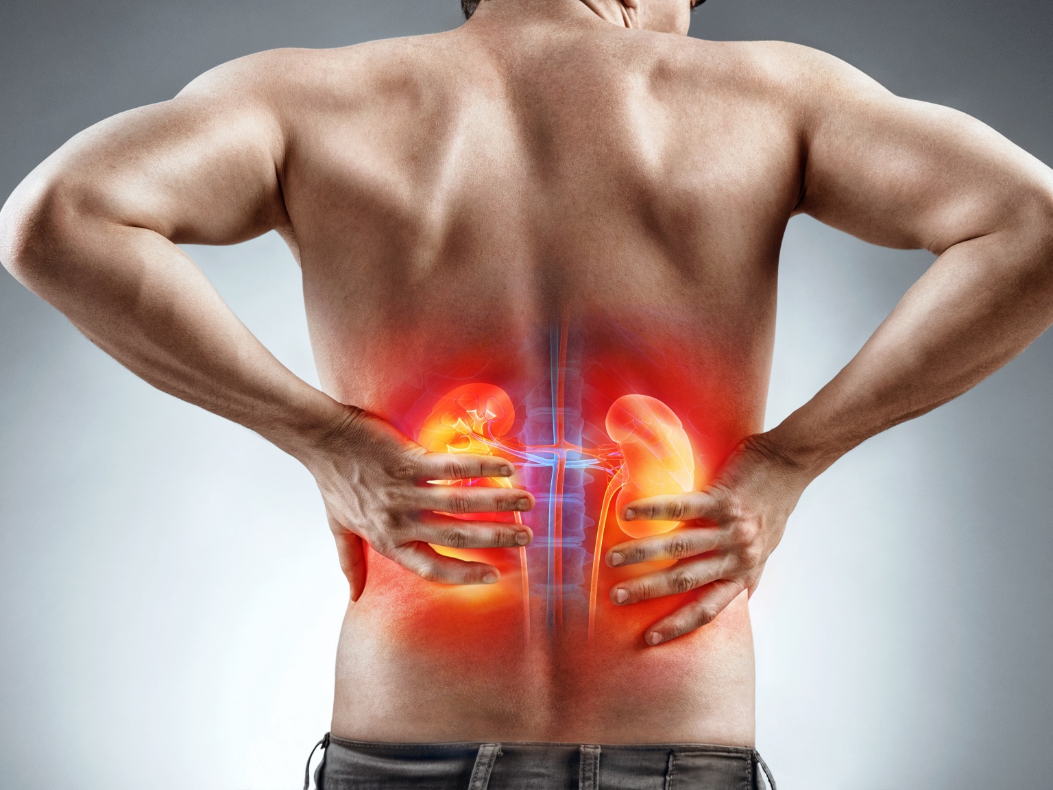 Quand les reins sont déficients : causes et traitements | Hirslanden